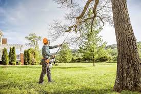  La Paloma, TX Tree Care Pros